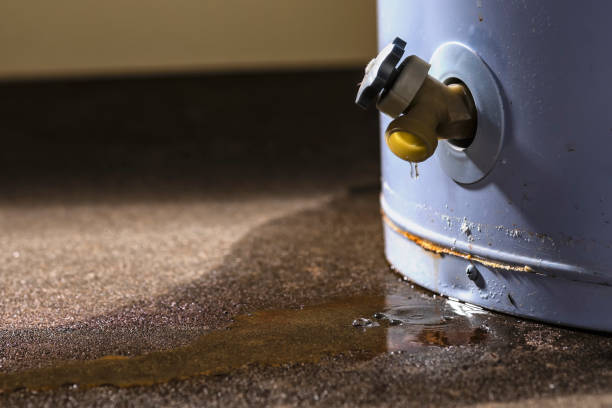 Best Water damage contractors near me  in Crooks, SD