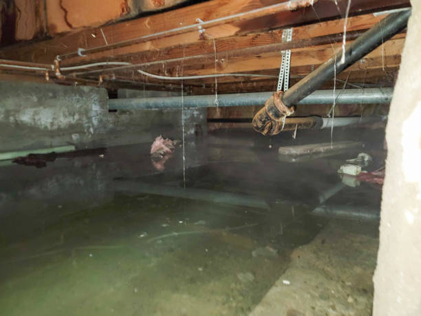 Best Flood restoration services  in Crooks, SD