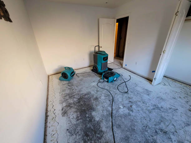 Water damage restoration experts in SD