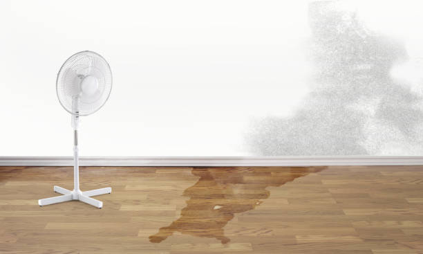 Best Water damage restoration experts  in Crooks, SD