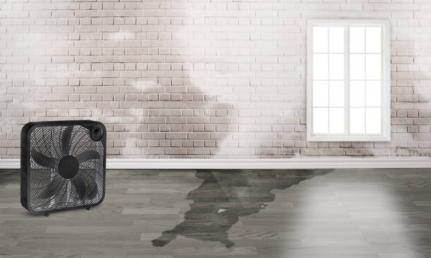 Best Local water damage restoration  in Crooks, SD