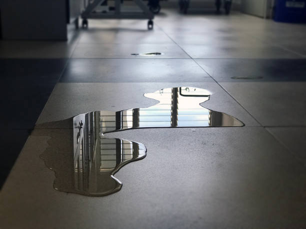 Reliable SD Water damage restoration Solutions