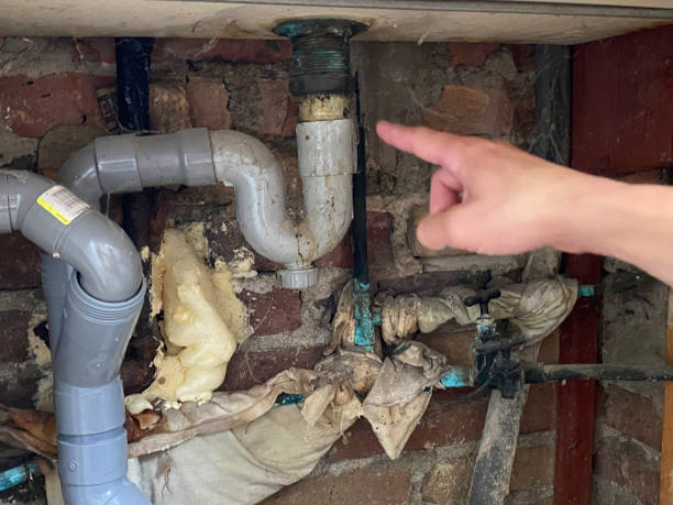 Best Water damage cleanup near me  in Crooks, SD