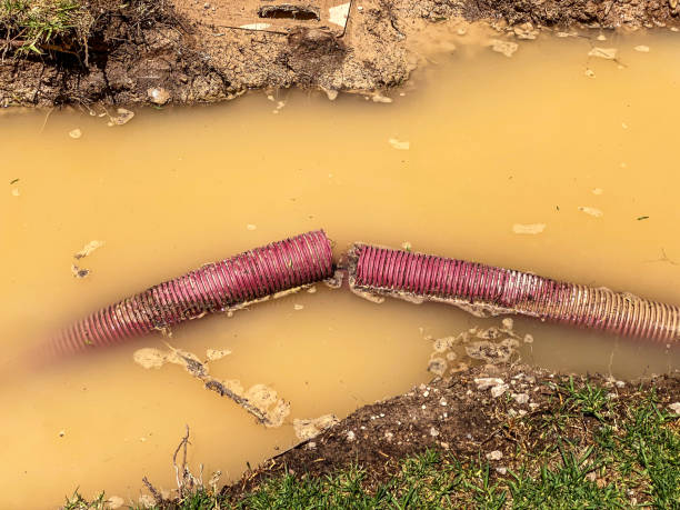Best Commercial water damage restoration  in Crooks, SD